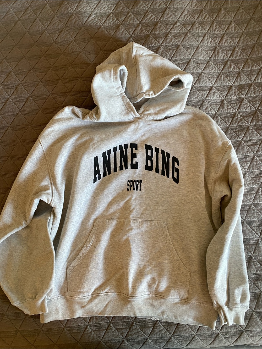Anine Bing sweatshirt
